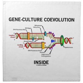 Gene-Culture Coevolution Inside (DNA Replication) Cloth Napkins