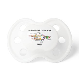 Gene-Culture Coevolution Inside (DNA Replication) Pacifiers