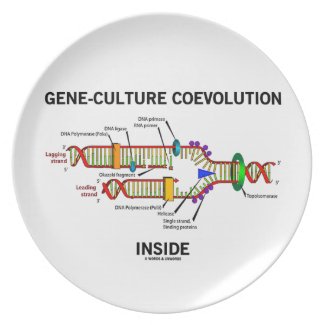 Gene-Culture Coevolution Inside (DNA Replication) Plates
