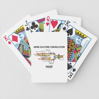 Gene-Culture Coevolution Inside (DNA Replication) Playing Cards