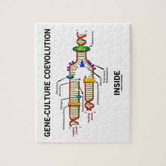 Gene-Culture Coevolution Inside (DNA Replication) Jigsaw Puzzle