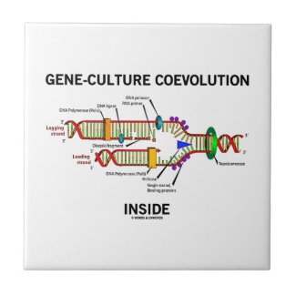 Gene-Culture Coevolution Inside (DNA Replication) Ceramic Tiles