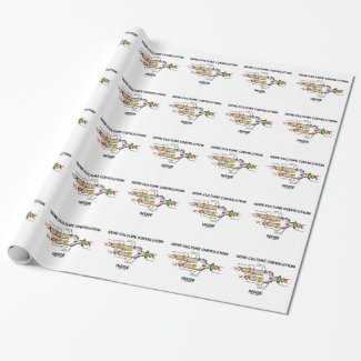 Gene-Culture Coevolution Inside (DNA Replication) Wrapping Paper