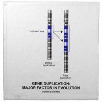 Gene Duplication: Major Factor In Evolution Napkin