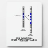 Gene Duplication: Major Factor In Evolution Plaques