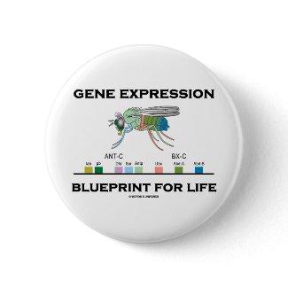 Gene Expression Blueprint For Life Homeobox Genes button