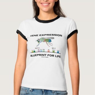 Gene Expression Blueprint For Life Homeobox Genes shirt