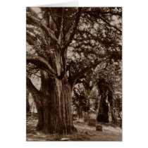 GENEALOGY CARD ~ DESIGNED TO SHARE FAMILY HISTORY! by layooper GENEALOGY CARD ~ DESIGNED TO SHARE FAMILY HISTORY!