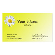 General appointment business card business cards