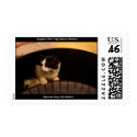 General Feral Cat Stamp by feralsoul General Feral Cat Stamp