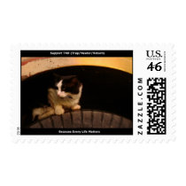 General Feral Cat Stamp