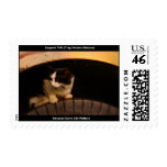 General Feral Cat Stamp
