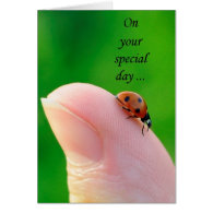 General Happy Birthday Ladybug Greeting Card