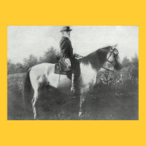 General Lee riding Traveler posters