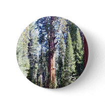 General Sherman Trees Forrests buttons by lifesphere General Sherman Trees Forrests buttons