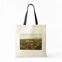 General view, Homburg (i.e., Bad Homburg vor der H Bag