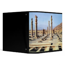 General view of the Apadana  founded c.518 BC Binders