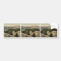 General view of the cedars of Lebanon, Lebanon, Ho Bumper Sticker