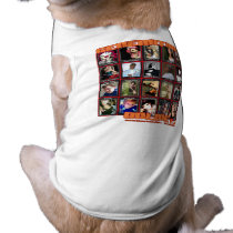 GENERATION ONLINE 1point2 Myspace friends collage pet clothing