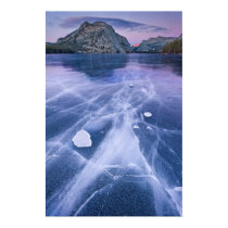Generational, Tenaya Lake, Yosemite Posters