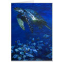 Generous Manini cards