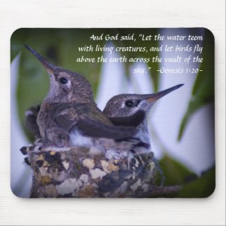 Genesis 1:20 Juvenile Hummingbirds Mousepad
