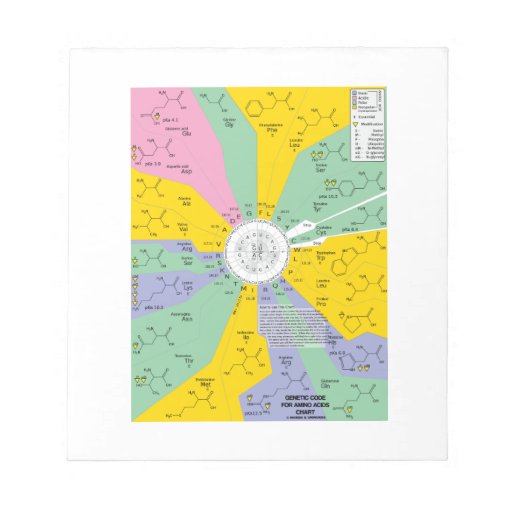 Code For Amino Acids (Chart Wheel) Notepad Zazzle