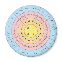 Genetic code magnet