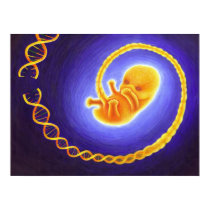 Genetic Engineering posters
