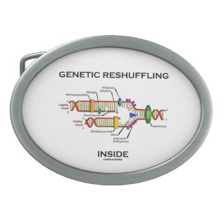 Genetic Reshuffling Inside (DNA Replication) Oval Belt Buckle