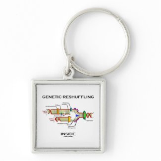 Genetic Reshuffling Inside (DNA Replication) Key Chain