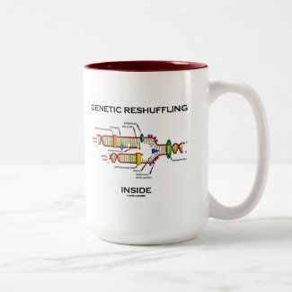 Genetic Reshuffling Inside (DNA Replication) Mug