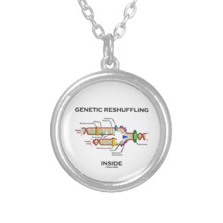 Genetic Reshuffling Inside (DNA Replication) Personalized Necklace