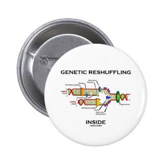 Genetic Reshuffling Inside (DNA Replication) Pins