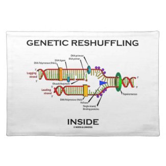 Genetic Reshuffling Inside (DNA Replication) Place Mats