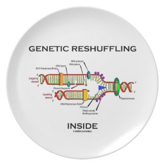 Genetic Reshuffling Inside (DNA Replication) Plates