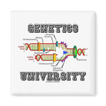 Genetics University (DNA Replication) Magnets