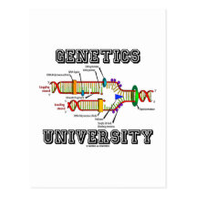 Genetics University (DNA Replication) Postcards