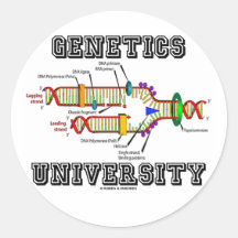 Genetics University (DNA Replication) Round Sticker