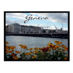 geneva lake flora post cards