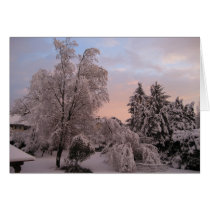 Genevan Sunset cards