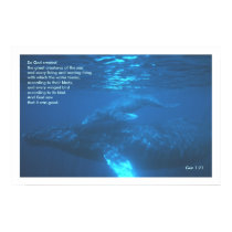 Genisis 1:21 WHALE POSTER PRINT by RealPotential Genisis 1:21 WHALE POSTER PRINT