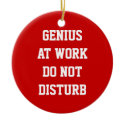 Genius at work door hanger ornament ornament