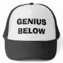GENIUS BELOW TRUCKER HATS