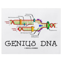 Genius DNA (DNA Replication Humor) flyers by wordsunwords Genius DNA (DNA Replication Humor) flyers