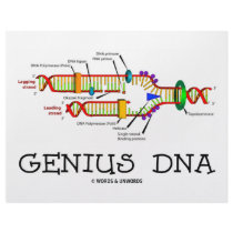 Genius DNA (DNA Replication Humor) letterhead by wordsunwords Genius DNA (DNA Replication Humor) letterhead