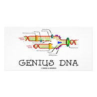 Genius DNA (DNA Replication Humor) Photo Cards
