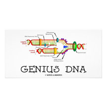 Genius DNA (DNA Replication Humor) Photo Cards