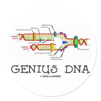Genius DNA (DNA Replication Humor) Sticker