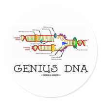 Genius DNA (DNA Replication Humor) stickers by wordsunwords Genius DNA (DNA Replication Humor) stickers